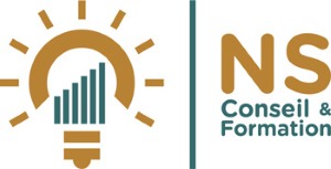Logo NS Conseil et Formation