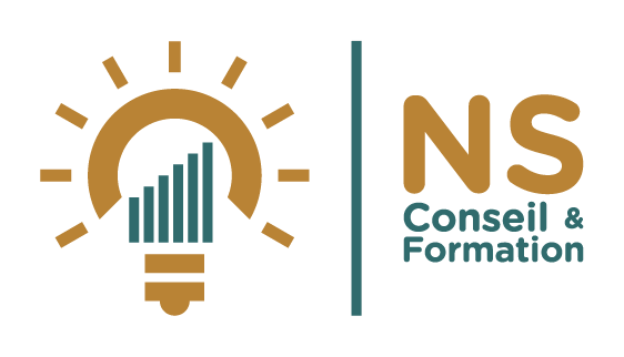 Logo NS Conseil et Formation